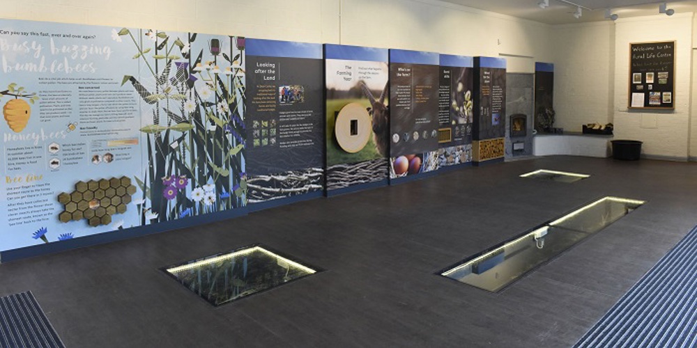 A shot of the Rural Lfe Centre. The building is empty but colourful boards highlight local flowers and wildlife.